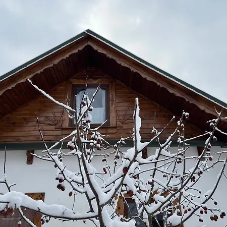 Dağ evi Na Szlaku - Do Wynajecia *